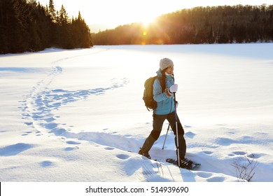 Winter sport activity. Woman hiker hiking with backpack and snowshoes snowshoeing on snow trail forest in Quebec, Canada at sunset. Beautiful landscape with coniferous trees and white snow.