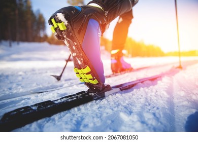 Winter Sports Competitions, Cross Country Skis Glide On Fresh Snow.