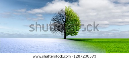 winter spring  change