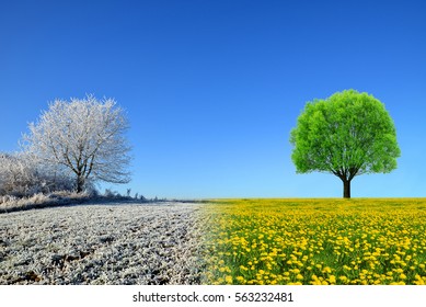 Winter and spring landscape with blue sky. Concept of change season.