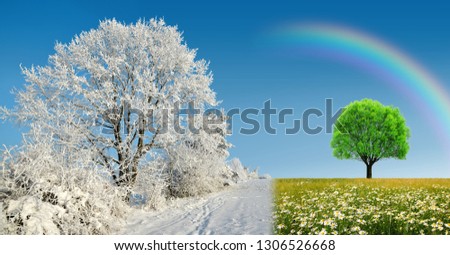 Winter and spring landscape with blue sky. Frozen tree and daisy flowers on meadow. Concept of change season. 
