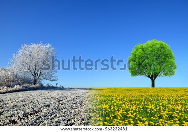 青空の冬と春の風景 変化のコンセプト の写真素材 今すぐ編集