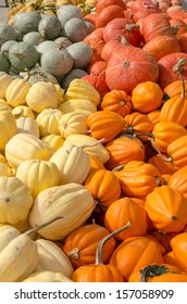 Winter Squash On Display At A Farmers Market