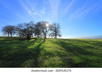 Winter Of The Stanford Dish