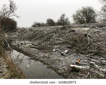 Winter Storm Damage In The UK: Fallen Trees And Snow Showers During Winter Weather In The Oxfordshire Countryside.