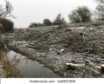 Winter Storm Damage In The UK: Fallen Trees And Snow Showers During Winter Weather In The Oxfordshire Countryside.