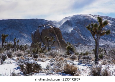 Winter Storm, Joshua Tree National Park, California