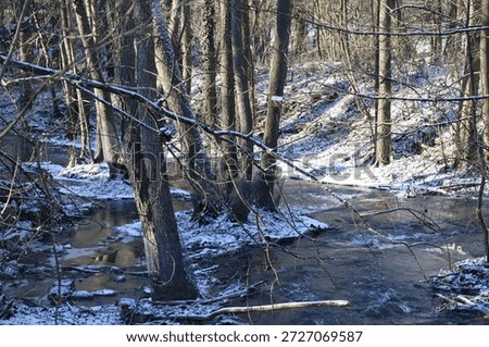Winter stream landscape in a Forest