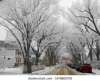 Winter Street In Regina Saskatchewan