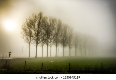 Winter sun in fog on coutryside. Countryside fog with winter sun - Powered by Shutterstock