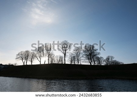 Winter Sun going down behind Silhouetted Trees
