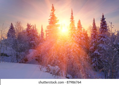 Winter Sunrise