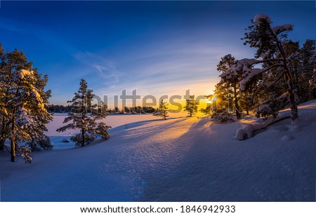Winter sunrise in nature snow landscape. Sunrise in winter snow forrest