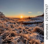 winter sunrise on a frosty landscape