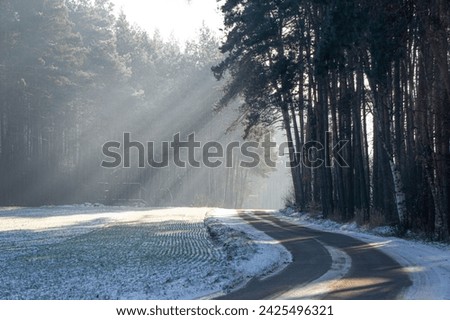 winter sunrise over a coniferous and deciduous forest on a national road between villages with cold sun rays penetrating through the trees