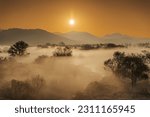 Winter and sunrise view of fog on tree and marsh against rising sun at Hwapocheon Wetland Ecological Park of Twerae-ri near Gimhae-si, South Korea
