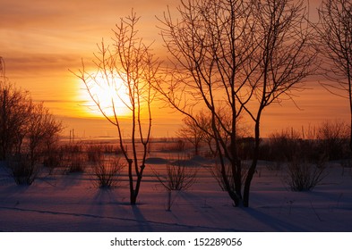 Winter Sunset