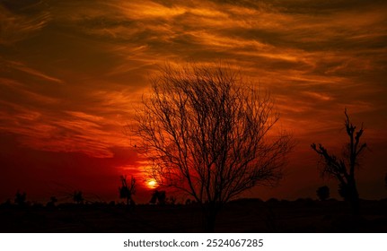 A Winter Sunset with Bare Tree Silhouette Against a Partly Cloudy Sky - Powered by Shutterstock