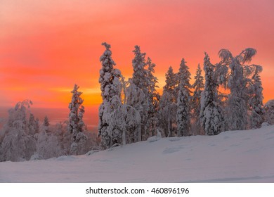 Winter Sunset In Lapland At Ski Resort