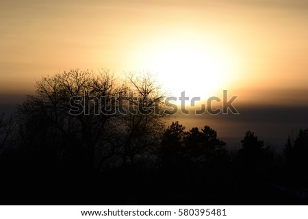 Winter Sunset Light