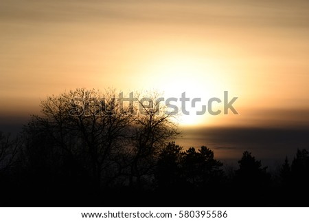 Winter Sunset Light