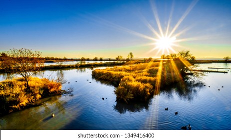 Winter Sunset Over Ocean Side Wetlands Of The Reifel Bird Sanctuary In The Alaksen National Wildlife Area On Westham Island Near Ladner, British Columbia, Canada