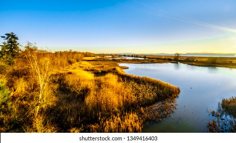 Winter Sunset Over Ocean Side Wetlands Of The Reifel Bird Sanctuary In The Alaksen National Wildlife Area On Westham Island Near Ladner, British Columbia, Canada