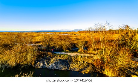 Winter Sunset Over Ocean Side Wetlands Of The Reifel Bird Sanctuary In The Alaksen National Wildlife Area On Westham Island Near Ladner, British Columbia, Canada