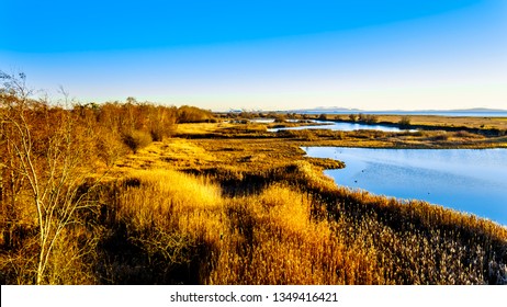 Winter Sunset Over Ocean Side Wetlands Of The Reifel Bird Sanctuary In The Alaksen National Wildlife Area On Westham Island Near Ladner, British Columbia, Canada