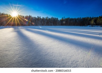 Winter sunset in a russian forest