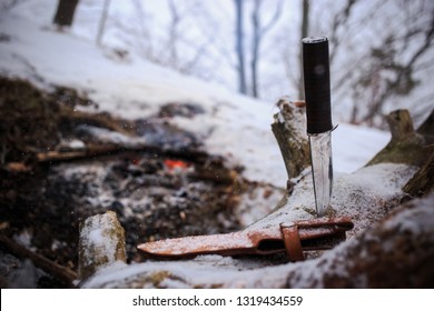 Winter Survival In The Wild With Knife