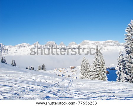 winter landscape Forest