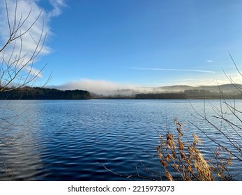 Winter At Talkin Tarn Country Park, Cumbria