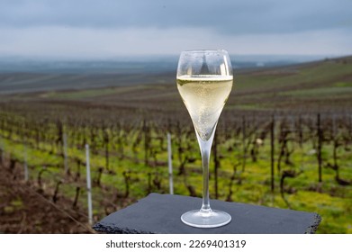 Winter tasting of brut champagne sparkling wine outdoor with view on pinot noir gran cru vineyards of famous champagne houses in Montagne de Reims near Verzenay, Champagne, France - Powered by Shutterstock
