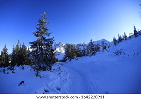 Similar – Image, Stock Photo Dangerous Nature Sky