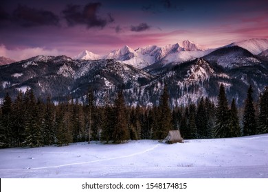 Winter In Tatra Mountains In Poland Zakopane 