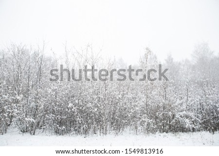 Similar – Image, Stock Photo Wwwwchsch Nature Landscape