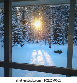 Winter through a window.