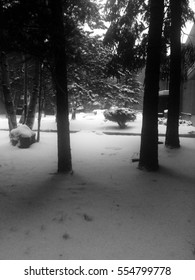 Winter through a Window