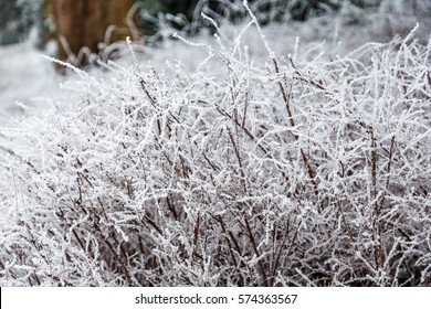 Winter time