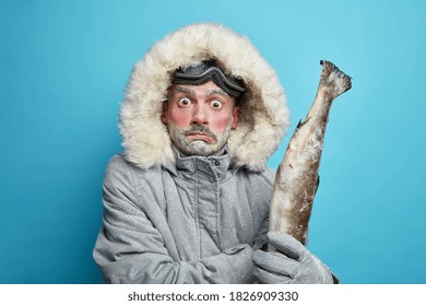 Winter time concept. Stupefied scared man eskimos goes fishing on ice holds frozen fish dressed in grey jacket with hood travels in north isolated on blue wall. Cold season and adventure travel