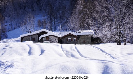 Winter time in to the forest