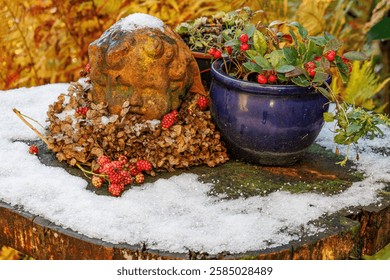 winter time at gemen castle in westphalia