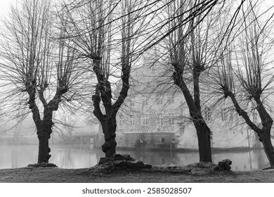 winter time at gemen castle in westphalia