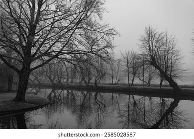 winter time at gemen castle in westphalia