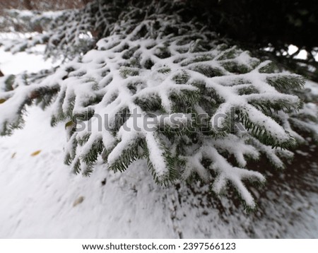 Similar – Image, Stock Photo frozen time Snow layer