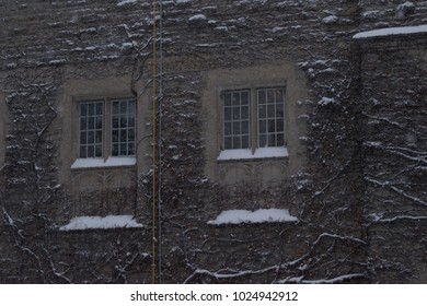 Winter time windows