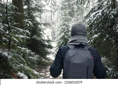 Winter tourism. winter walk.Male traveler with a backpack in the fir snow forest. Winter trip. Man on a winter forest road - Powered by Shutterstock