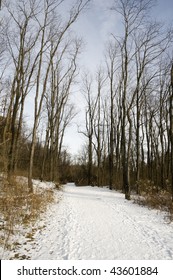 Winter Trail In Canton Ohio