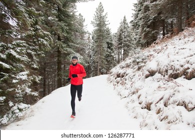 Winter Trail Running: Man Takes A Run On A Snowy Mountain Path In A Pine Woods.